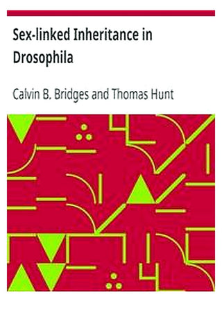 Sex-linked Inheritance in Drosophila