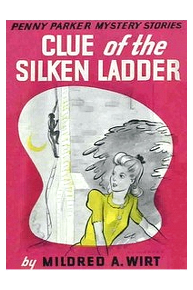 Clue of the Silken Ladder