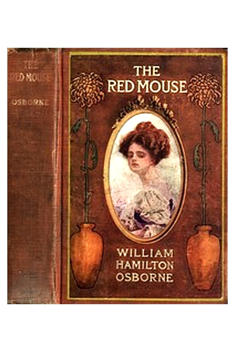 The Red Mouse: A Mystery Romance