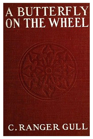 A Butterfly on the Wheel: A Novel