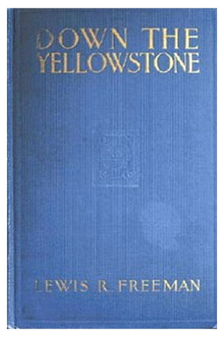Down the Yellowstone