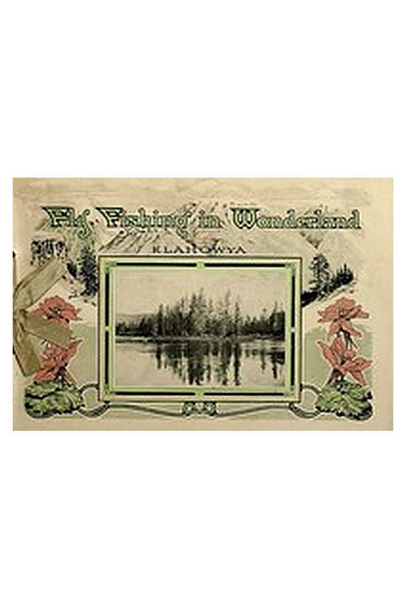 Fly Fishing in Wonderland