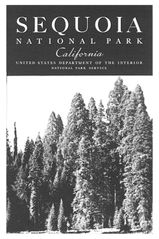 Sequoia [California] National Park
