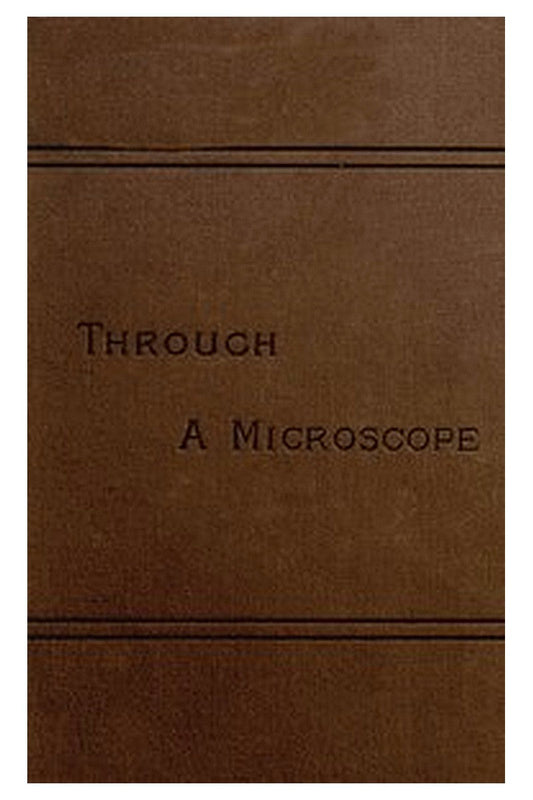 Through a Microscope
