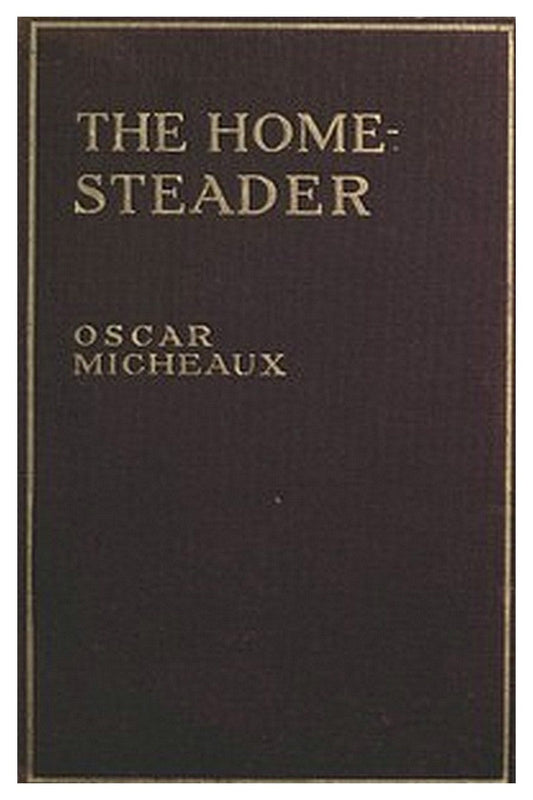 The Homesteader: A Novel