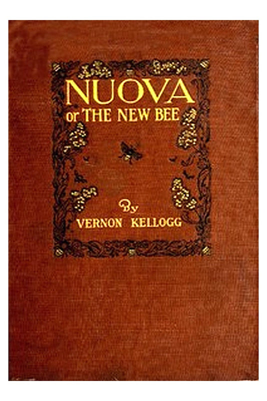 Nuova or, The New Bee