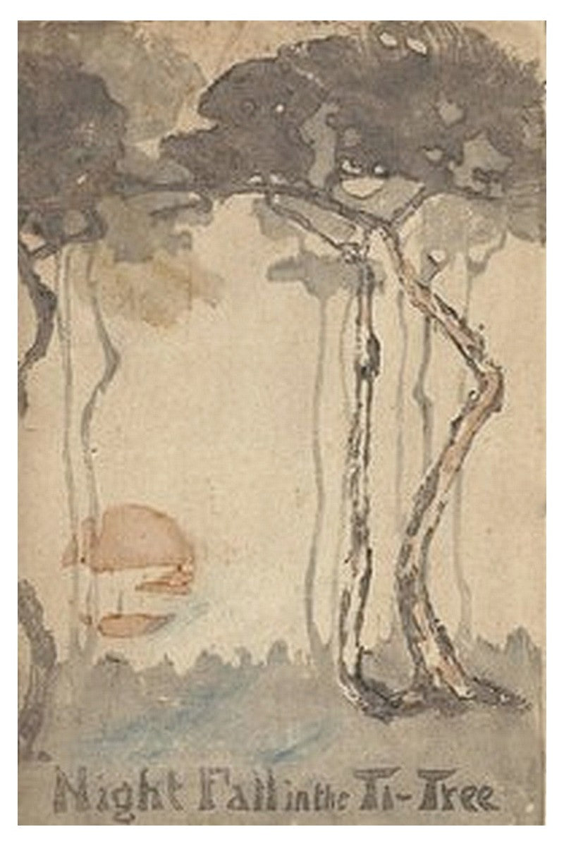 Night Fall in the Ti-Tree
