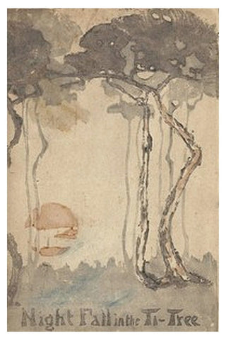 Night Fall in the Ti-Tree