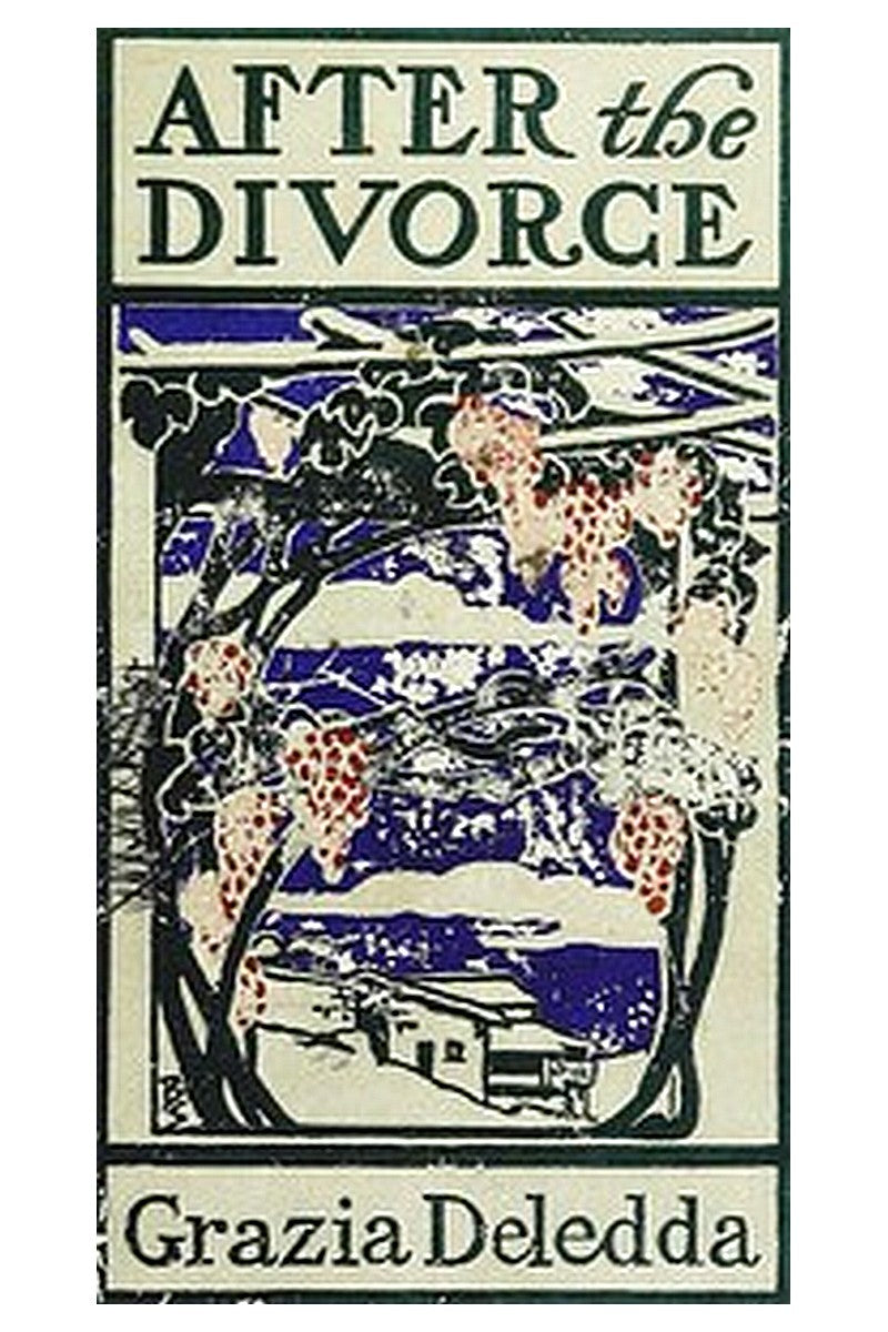 After the Divorce: A Romance