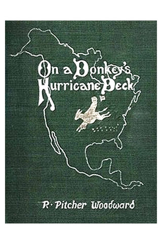 On a Donkey's Hurricane Deck