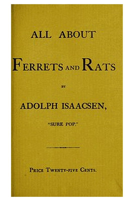 All about Ferrets and Rats
