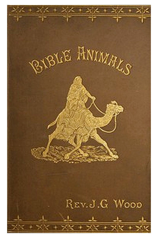 Bible Animals;
