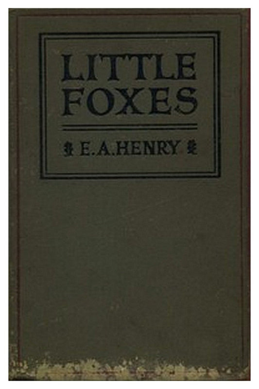 Little Foxes: Stories for Boys and Girls