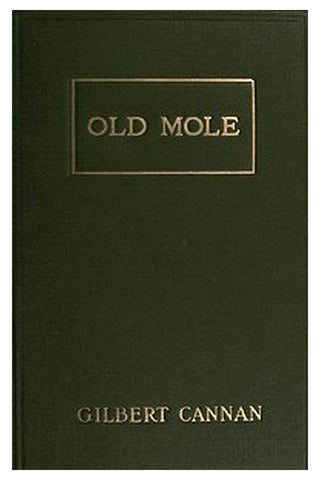 Old Mole
