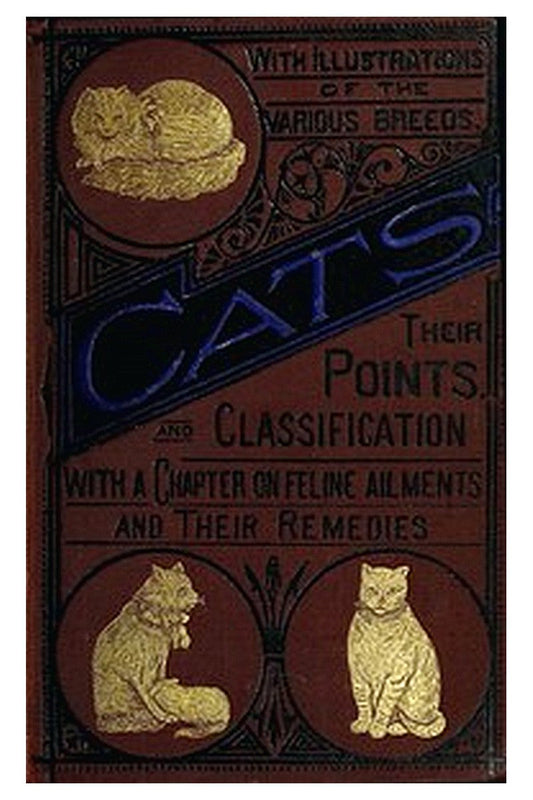 Cats: Their Points and Characteristics
