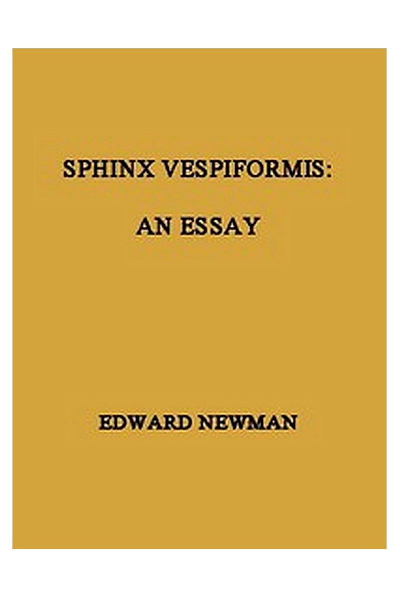 Sphinx Vespiformis: An Essay