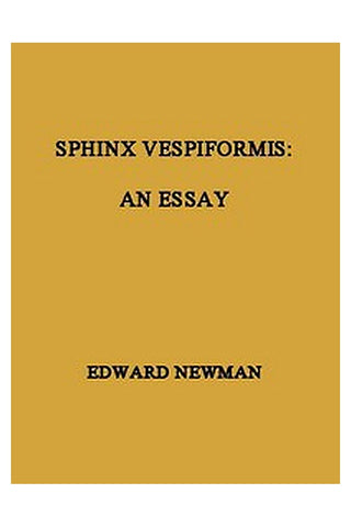 Sphinx Vespiformis: An Essay