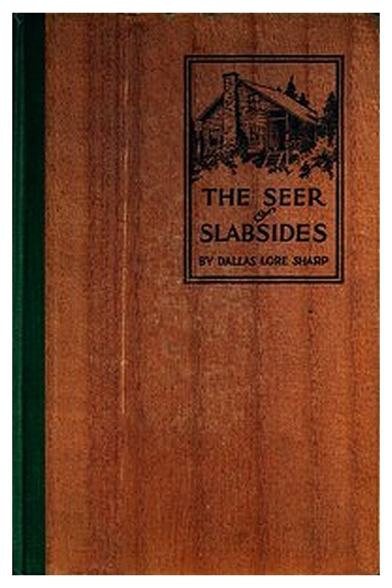 The Seer of Slabsides