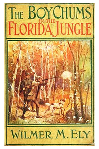 The Boy Chums in the Florida Jungle