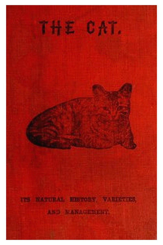 The Cat: Its Natural History Domestic Varieties Management and Treatment