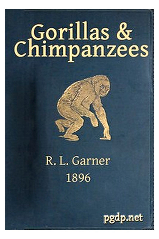 Gorillas and chimpanzees
