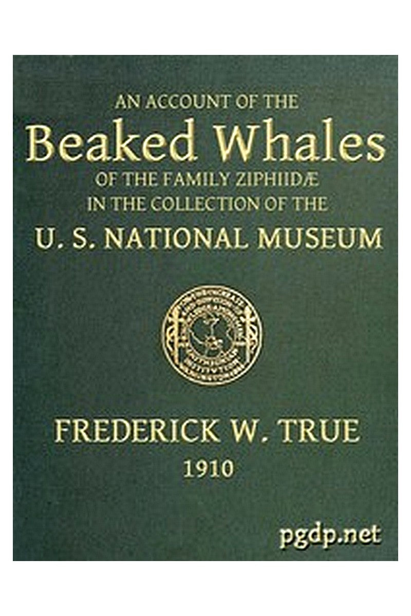 The Beaked Whales of the Family Ziphiidae
