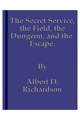 The Secret Service, the Field, the Dungeon, and the Escape