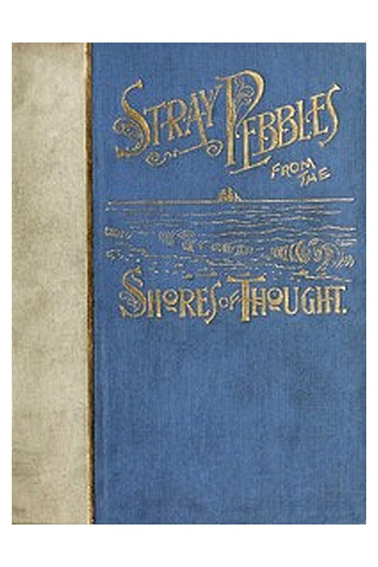 Stray Pebbles from the Shores of Thought