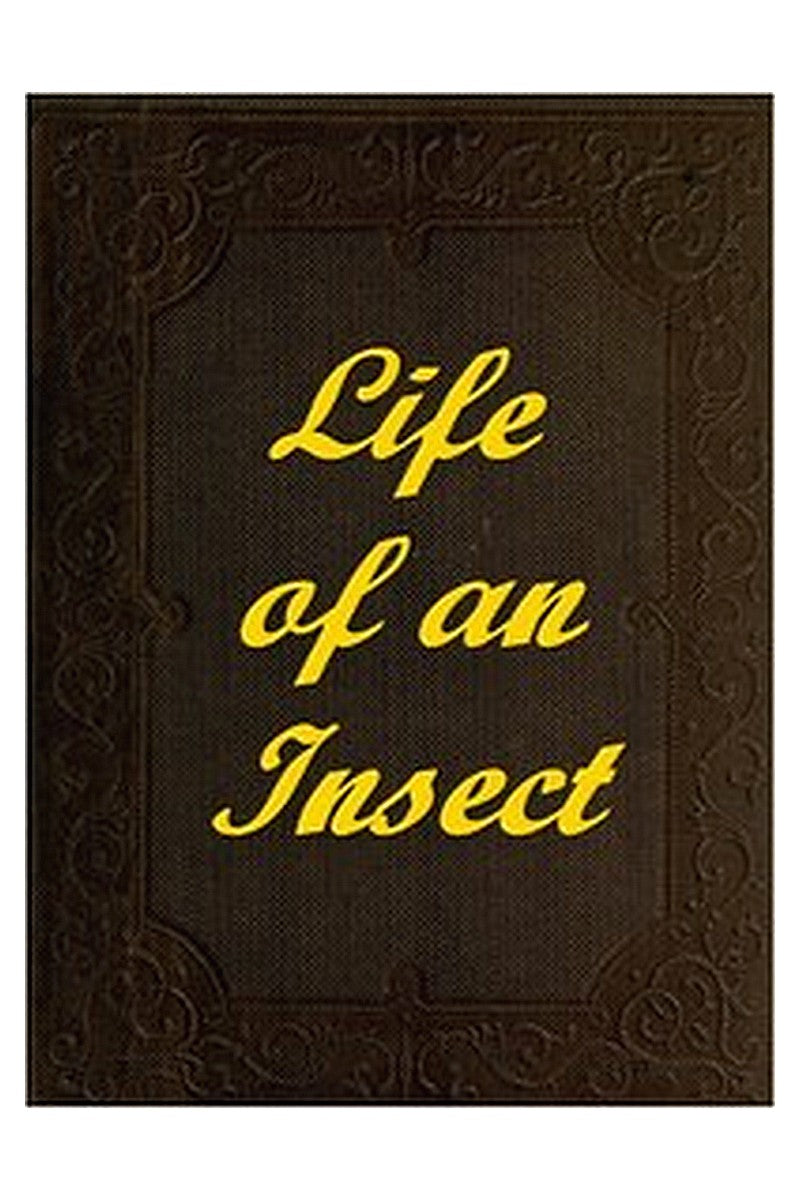 The Life of an Insect
