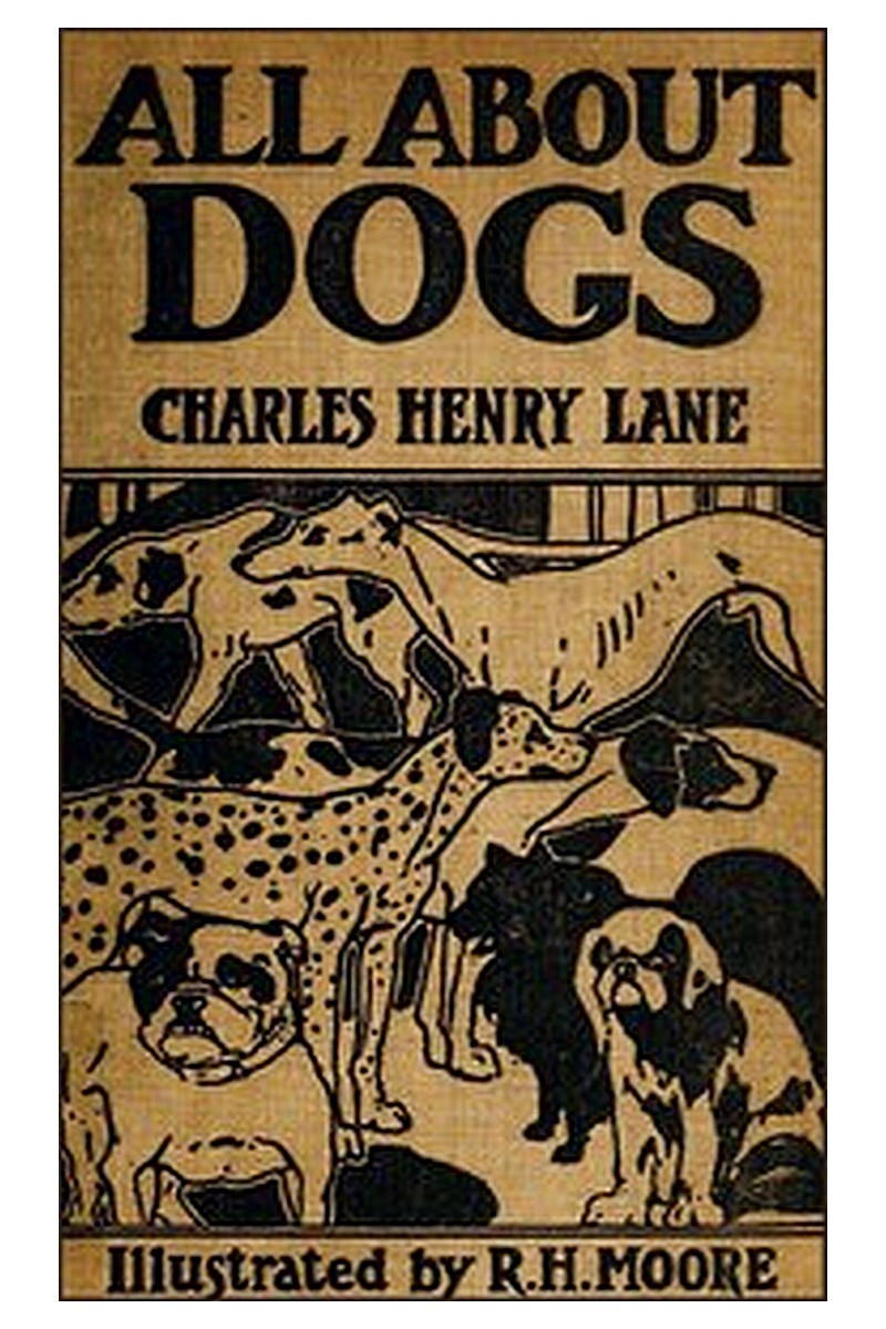 All About Dogs: A Book for Doggy People