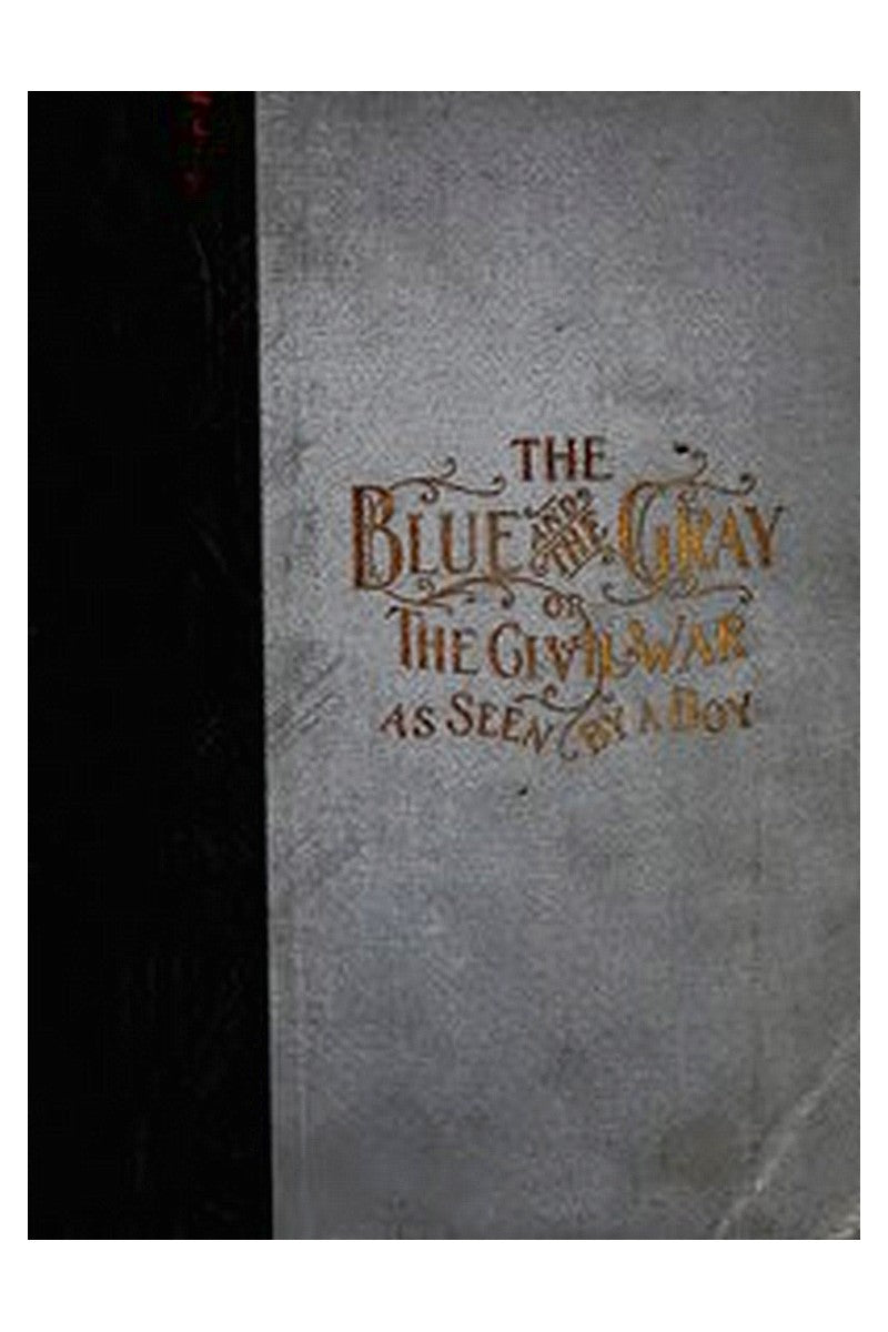 The Blue and the Gray; Or, The Civil War as Seen by a Boy
