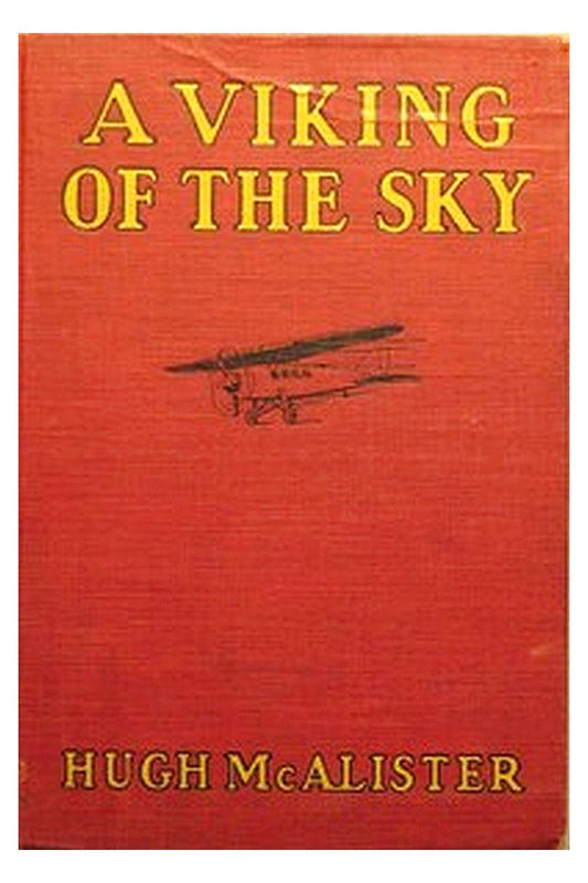 A Viking of the Sky: A Story of a Boy Who Gained Success in Aeronautics