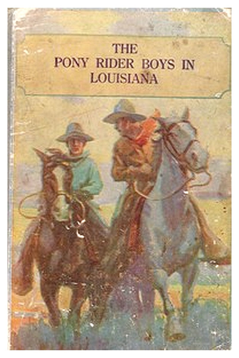 The Pony Rider Boys, number 11
