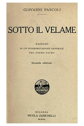 Sotto il velame: Saggio di un'interpretazione generale del poema sacro