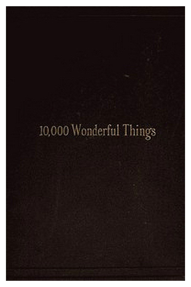 Ten Thousand Wonderful Things
