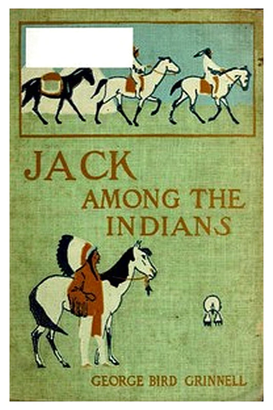 Jack Among the Indians Or, A Boy's Summer on the Buffalo Plains