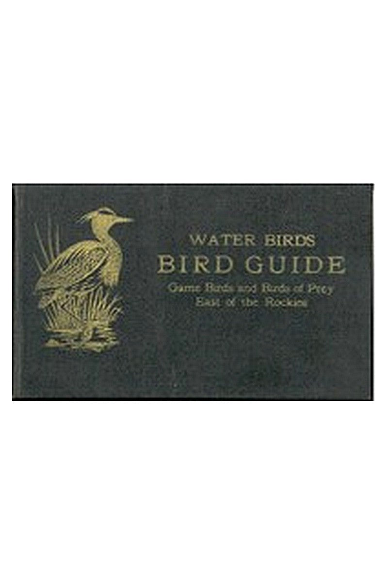 Bird Guide: Water Birds, Game Birds, and Birds of Prey East of the Rockies