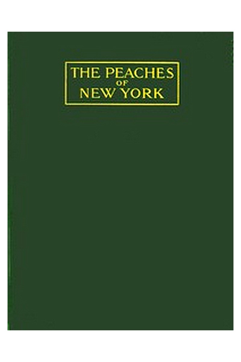 The Peaches of New York
