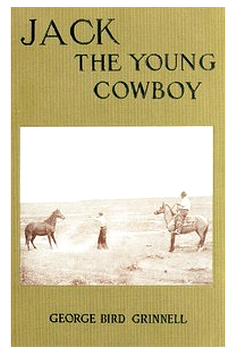 Jack the Young Cowboy: An Eastern Boy's Experiance on a Western Round-up