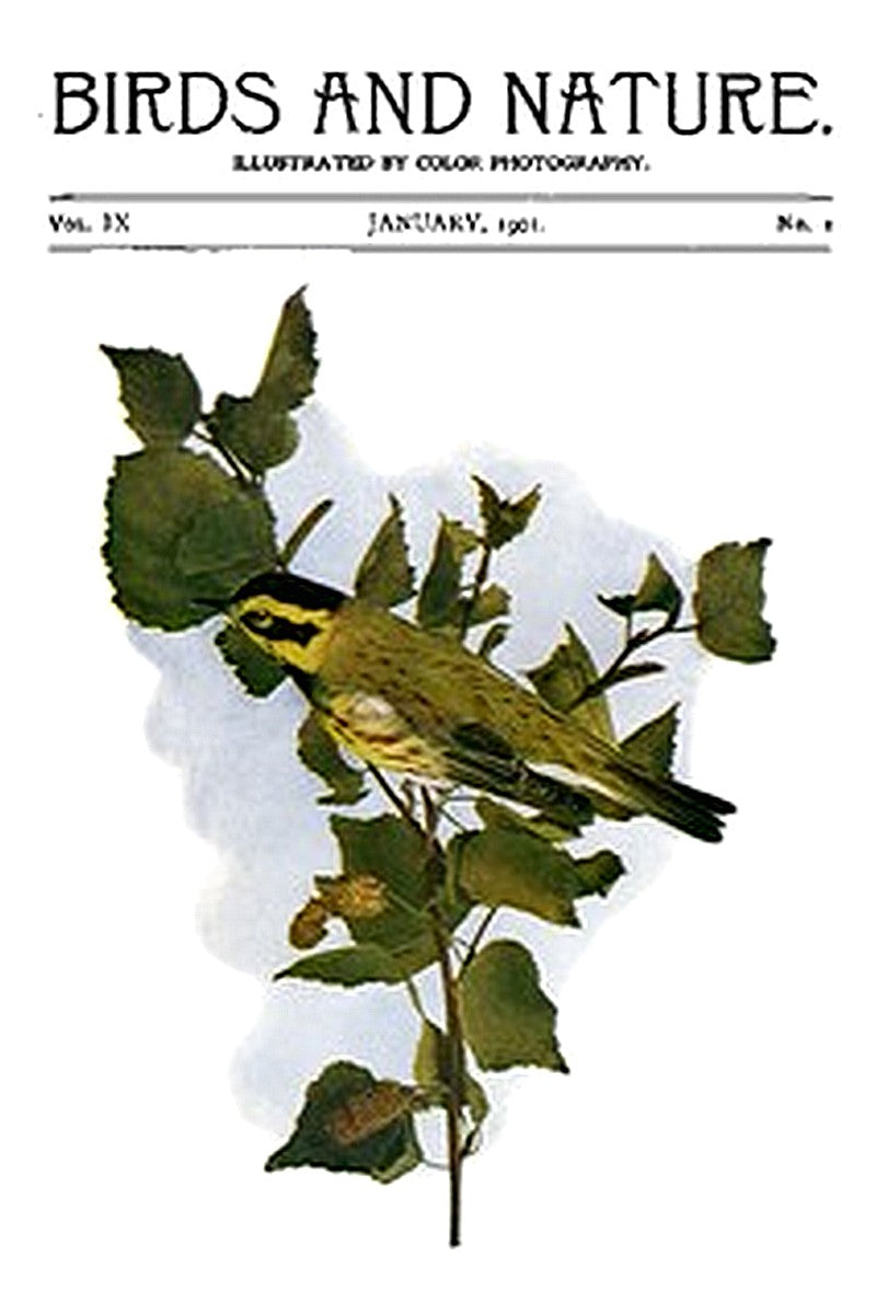 Birds and Nature Vol. 09 No. 1 [January 1901]
