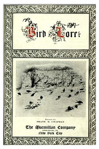 Bird-Lore, Volume I—1899