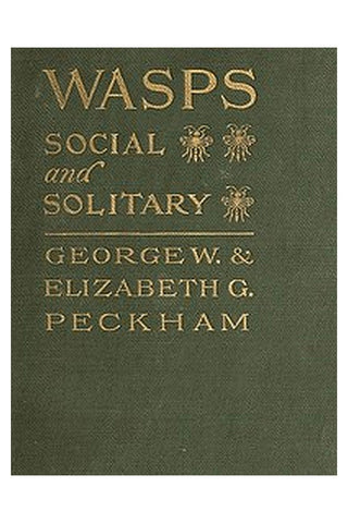 Wasps, Social and Solitary