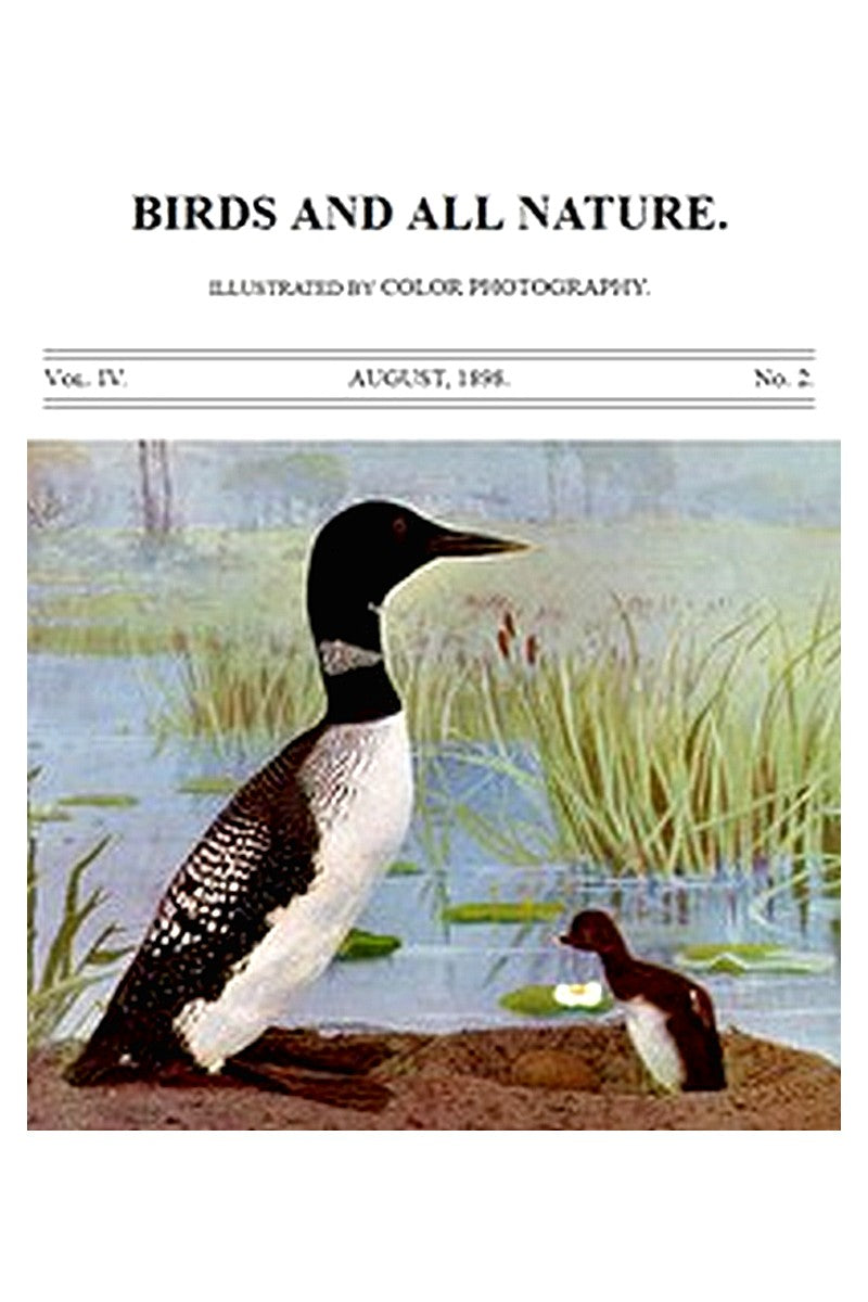 Birds and All Nature, Vol. 4, No. 2, August 1898
