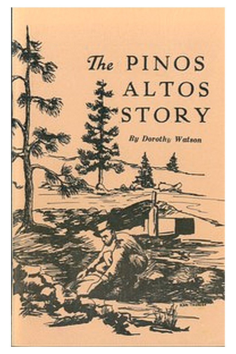 The Pinos Altos Story