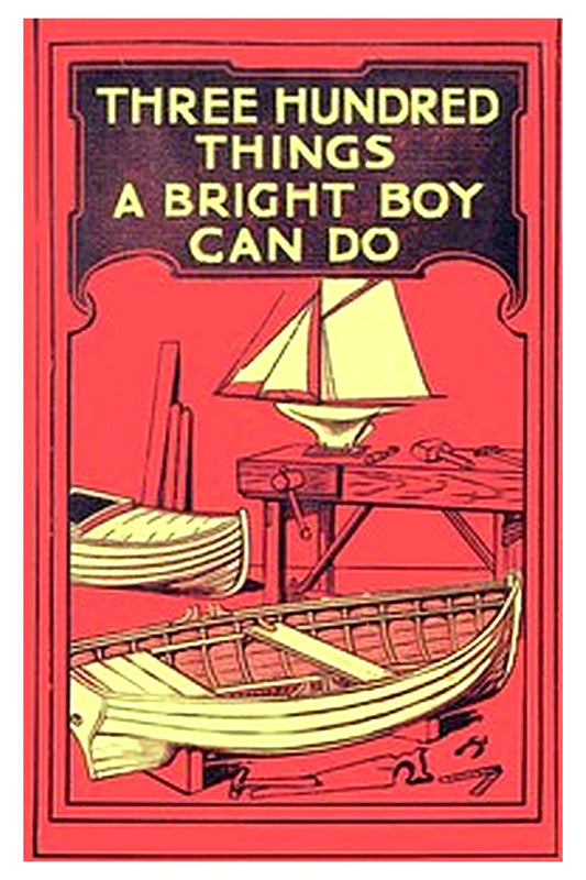 300 Things a Bright Boy Can Do