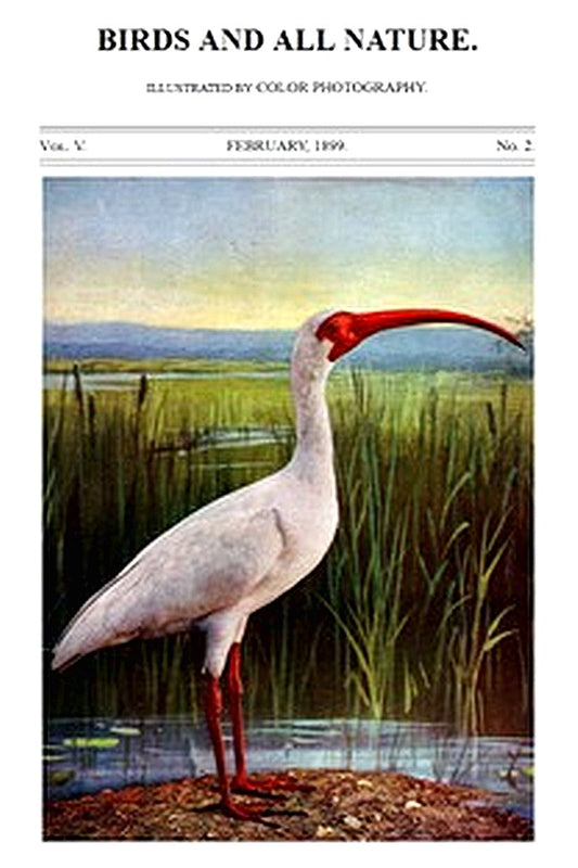 Birds and All Nature, Vol. 5, No. 2, February 1899

