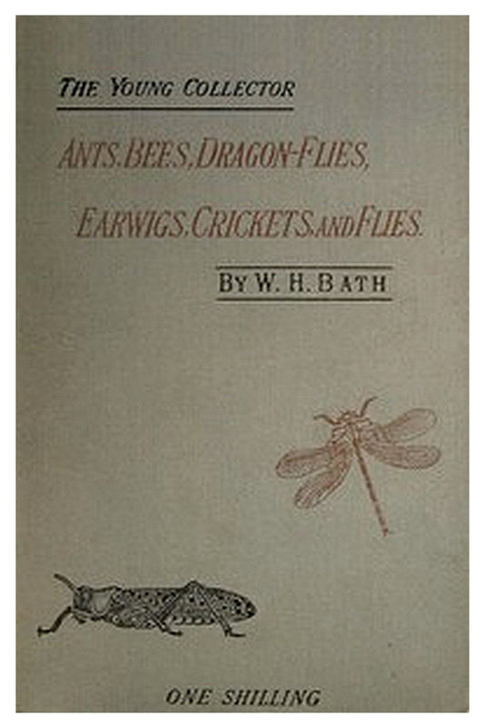 The Young Collector's Handbook of Ants, Bees, Dragon-flies, Earwigs, Crickets, and Flies
