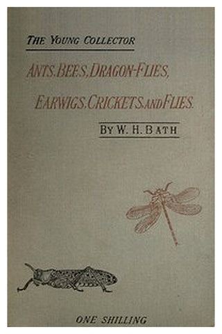 The Young Collector's Handbook of Ants, Bees, Dragon-flies, Earwigs, Crickets, and Flies
