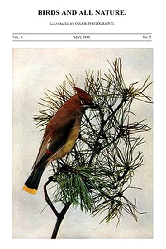 Birds and All Nature, Vol. 5, No. 5, May 1899
