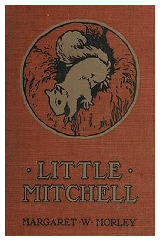 Little Mitchell: The Story of a Mountain Squirrel